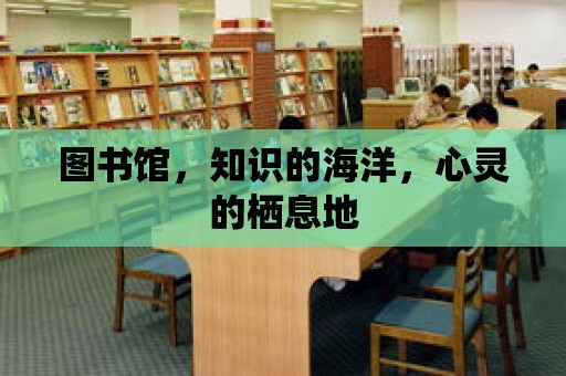 圖書館，知識的海洋，心靈的棲息地