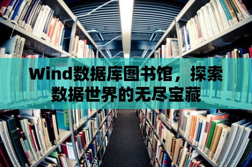 Wind數據庫圖書館，探索數據世界的無盡寶藏