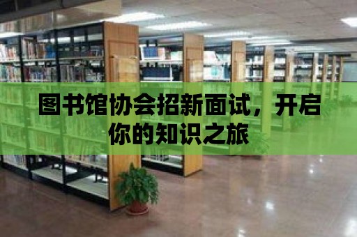 圖書館協會招新面試，開啟你的知識之旅