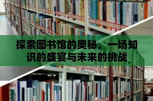 探索圖書館的奧秘，一場(chǎng)知識(shí)的盛宴與未來的挑戰(zhàn)