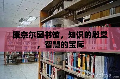 康奈爾圖書館，知識的殿堂，智慧的寶庫