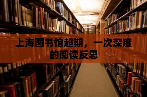 上海圖書館超期，一次深度的閱讀反思