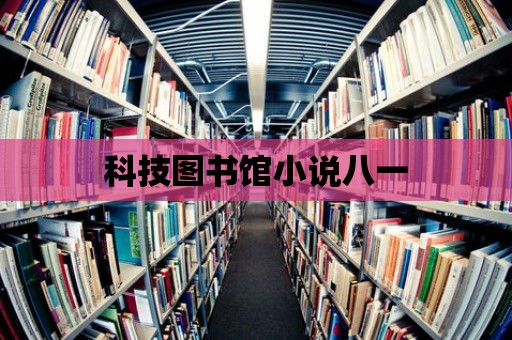 科技圖書館小說八一