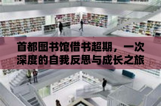 首都圖書館借書超期，一次深度的自我反思與成長之旅