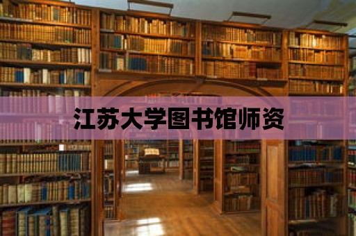 江蘇大學圖書館師資