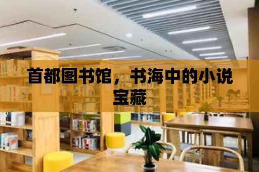 首都圖書館，書海中的小說寶藏