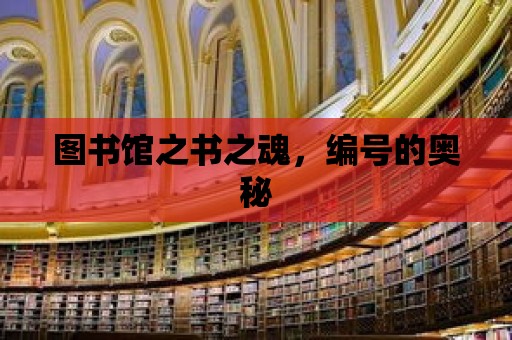 圖書館之書之魂，編號的奧秘