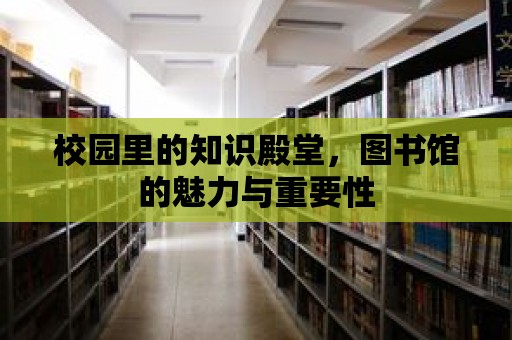 校園里的知識殿堂，圖書館的魅力與重要性