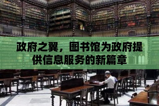 政府之翼，圖書館為政府提供信息服務的新篇章