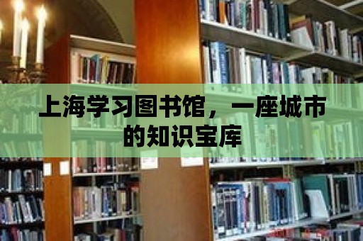 上海學(xué)習圖書館，一座城市的知識寶庫