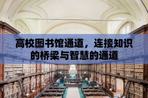 高校圖書館通道，連接知識的橋梁與智慧的通道