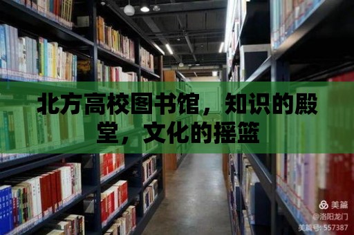 北方高校圖書館，知識的殿堂，文化的搖籃