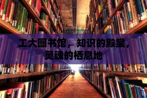 工大圖書館，知識的殿堂，靈魂的棲息地