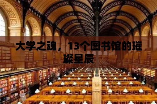 大學(xué)之魂，13個(gè)圖書館的璀璨星辰