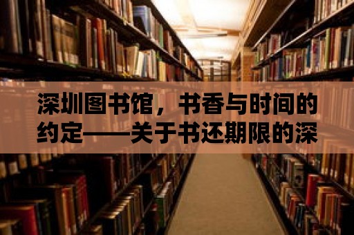 深圳圖書館，書香與時間的約定——關于書還期限的深度探討