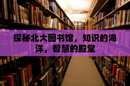 探秘北大圖書館，知識的海洋，智慧的殿堂