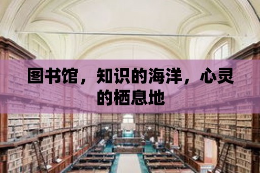 圖書館，知識的海洋，心靈的棲息地