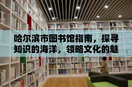 哈爾濱市圖書館指南，探尋知識的海洋，領略文化的魅力