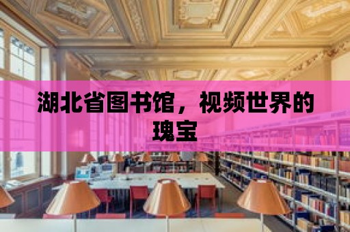 湖北省圖書館，視頻世界的瑰寶