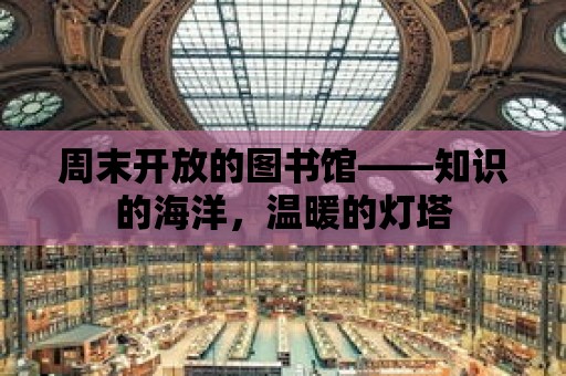 周末開放的圖書館——知識的海洋，溫暖的燈塔