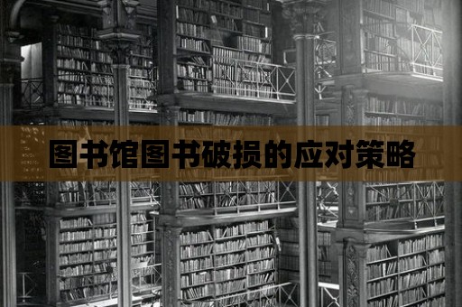 圖書館圖書破損的應(yīng)對(duì)策略