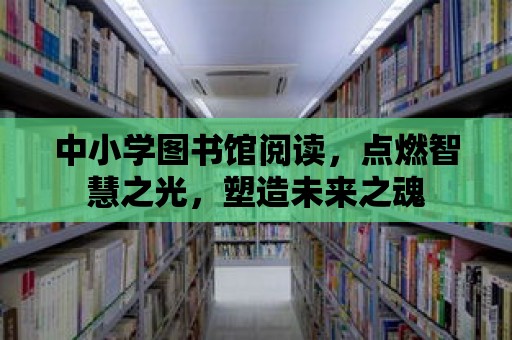 中小學圖書館閱讀，點燃智慧之光，塑造未來之魂