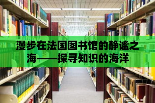 漫步在法國(guó)圖書館的靜謐之海——探尋知識(shí)的海洋