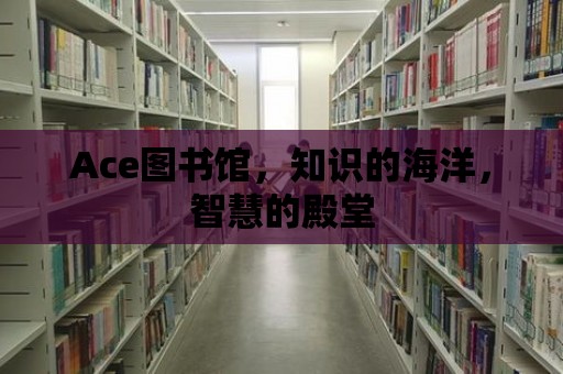 Ace圖書館，知識(shí)的海洋，智慧的殿堂