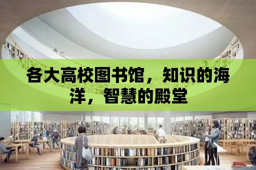 各大高校圖書館，知識的海洋，智慧的殿堂