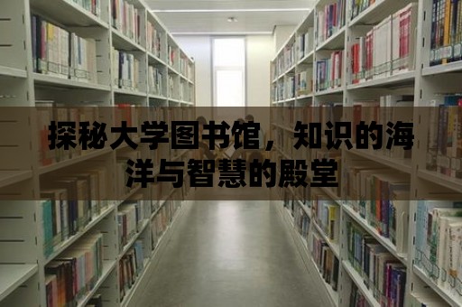 探秘大學圖書館，知識的海洋與智慧的殿堂