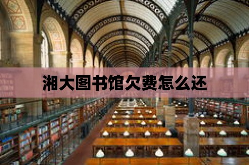 湘大圖書館欠費怎么還